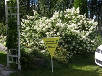 Avoimet puutarhat 2022