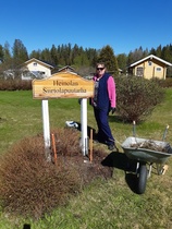 Pensaiden kevätkunnostusta.